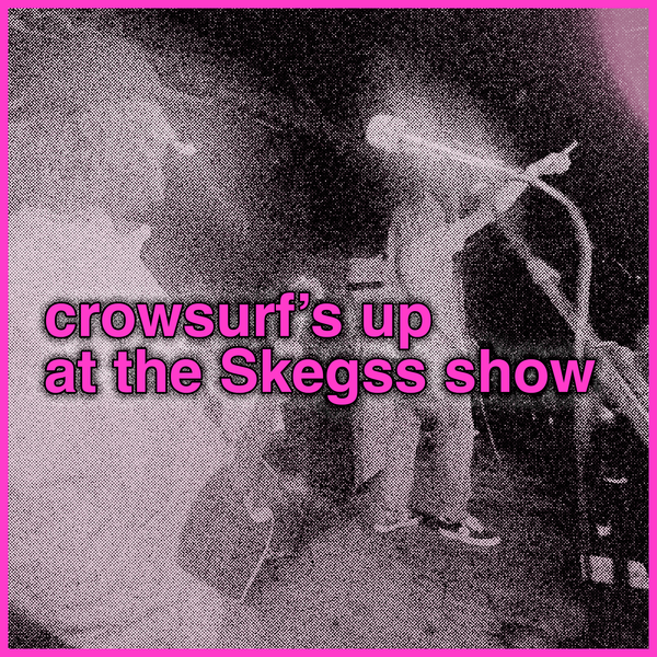 show recap: Skegss